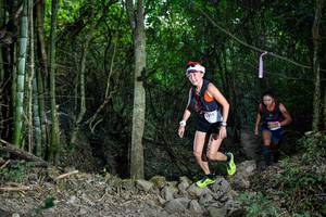 BIB: 
                            <button type="button" onclick="openModal(19438705)" class="btn btn-primary btn-sm float-right btn-popup" data-toggle="modal" data-target=".modal-high-quality">
                        <i class="fas fa-shopping-cart"></i> Add to Cart
                    </button>
                                            <button type="button" onclick="isThisMe(19438705, true)" class="btn btn-success btn-sm float-right btn-popup btn-isme hidden" data-toggle="tooltip" data-placement="bottom" title="นี่คือรูปของคุณใช่ไหม คลิกที่นี่เพื่อเอาเข้าอัลบั้ม">
                        <i class="fas fa-plus"></i> Add to album
                    </button>
                    <button type="button" onclick="isThisMe(19438705, false)" class="btn btn-warning btn-sm float-right btn-popup btn-isnotme hidden">
                        <i class="fas fa-ban"></i> Remove from album
                    </button>